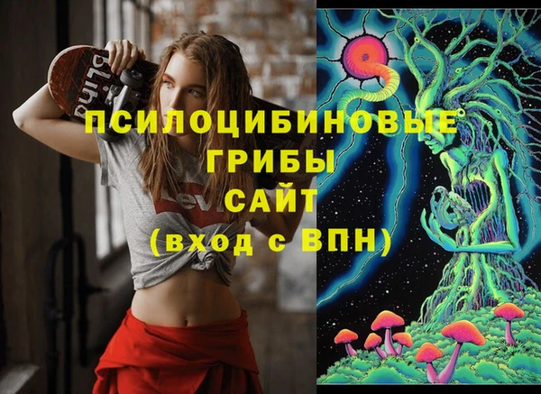 гидра Абинск