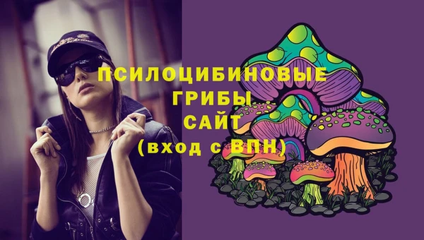 герыч Абаза