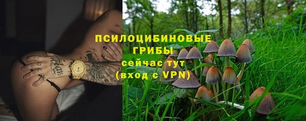 гидра Абинск