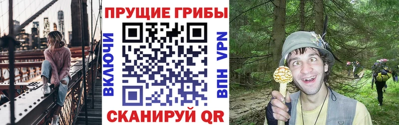 Псилоцибиновые грибы Cubensis цены наркотик Уварово